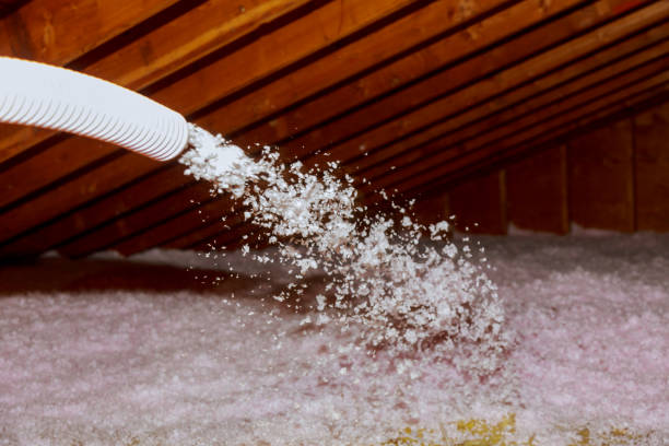 Best Cellulose Insulation in Park City, TN