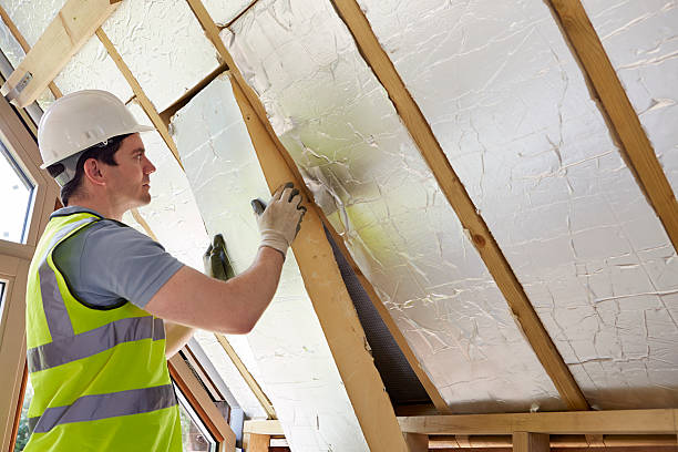 Best Specialized Insulation Services in Park City, TN