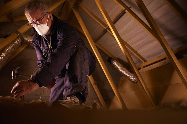 Types of Insulation We Offer in Park City, TN
